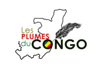 Les plumes du Congo